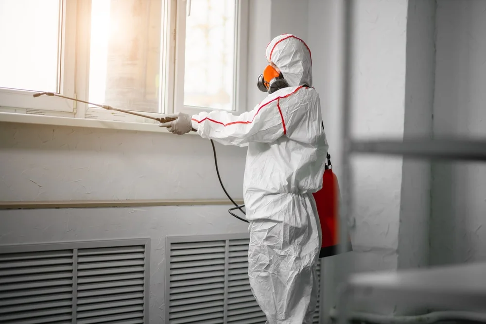 Professional mold remediation services in Mayflower, AR
